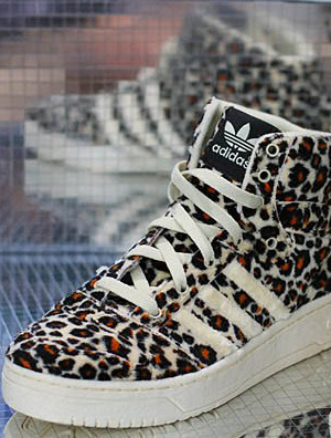 _˹~OӋ•˹سy¿ޱ