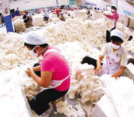 Ьȳڴ½ ˶{(dio)Ч(yng)@