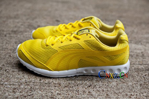 SɫW늣PUMA Bolt Faas 400