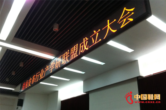 ƤИI(y)aW(lin)˳_