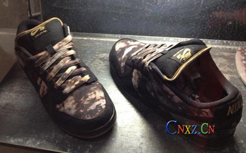 Pushead  Nike SB Bleached Dunk Low ЬA[