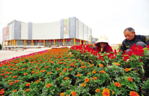 昨日,在晉江市美旗城鞋博會主展區,鮮花圍繞的迎賓臺格外美麗。