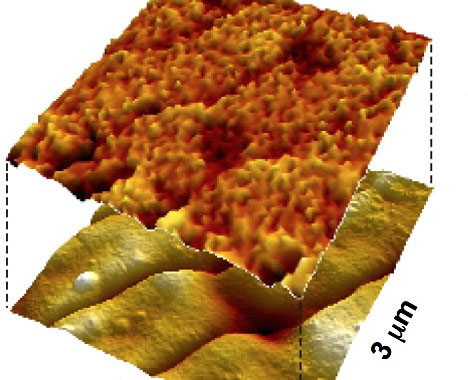 @lǳpƌW҂Jδʹ÷ǳV