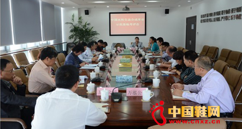 “中國水性生態合成革示范基地”專家考察組麗水行