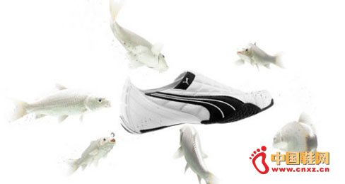 \(yn)(dng)ƷƵͳ RN(xio)ƿi