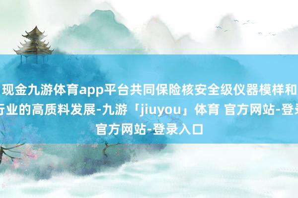现金九游体育app平台共同保险核安全级仪器模样和核电行业的高质料发展-九游「jiuyou」体育 官方网站-登录入口